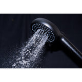 Regal 10-Function Hand Shower with Power Wash