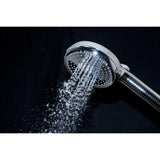 Regal 10-Function Hand Shower with Power Wash