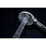Regal 10-Function Hand Shower with Power Wash