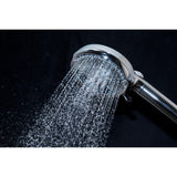 Regal 10-Function Hand Shower with Power Wash