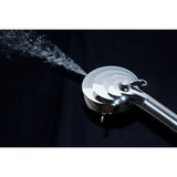 Regal 10-Function Hand Shower with Power Wash