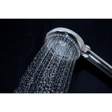 Regal 10-Function Hand Shower with Power Wash