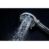 Regal 10-Function Hand Shower with Power Wash
