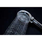 Regal 10-Function Hand Shower with Power Wash
