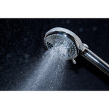 Regal 10-Function Hand Shower with Power Wash