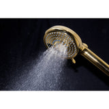 Regal 10-Function Hand Shower with Power Wash