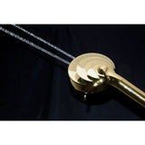Regal 10-Function Hand Shower with Power Wash