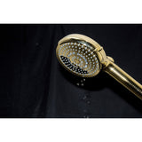 Regal 10-Function Hand Shower with Power Wash