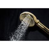 Regal 10-Function Hand Shower with Power Wash