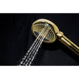 Regal 10-Function Hand Shower with Power Wash