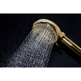 Regal 10-Function Hand Shower with Power Wash