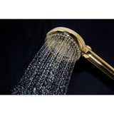 Regal 10-Function Hand Shower with Power Wash