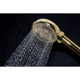 Regal 10-Function Hand Shower with Power Wash