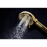 Regal 10-Function Hand Shower with Power Wash