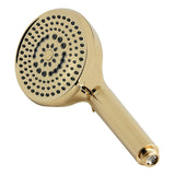 Regal 10-Function Hand Shower with Power Wash