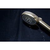 Regal 10-Function Hand Shower with Power Wash
