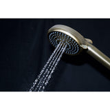 Regal 10-Function Hand Shower with Power Wash