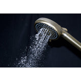 Regal 10-Function Hand Shower with Power Wash