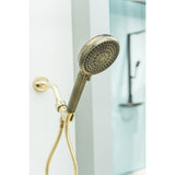Regal 10-Function Hand Shower with Power Wash