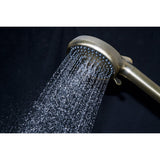 Regal 10-Function Hand Shower with Power Wash