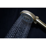 Regal 10-Function Hand Shower with Power Wash