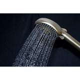 Regal 10-Function Hand Shower with Power Wash