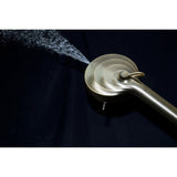 Regal 10-Function Hand Shower with Power Wash