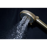 Regal 10-Function Hand Shower with Power Wash