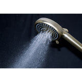 Regal 10-Function Hand Shower with Power Wash