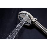 Regal 10-Function Hand Shower with Power Wash