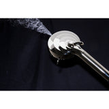 Regal 10-Function Hand Shower with Power Wash