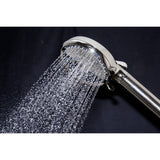 Regal 10-Function Hand Shower with Power Wash