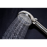 Regal 10-Function Hand Shower with Power Wash
