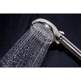Regal 10-Function Hand Shower with Power Wash