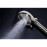 Regal 10-Function Hand Shower with Power Wash