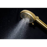 Regal 10-Function Hand Shower with Power Wash