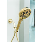 Regal 10-Function Hand Shower with Power Wash