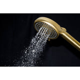 Regal 10-Function Hand Shower with Power Wash