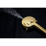 Regal 10-Function Hand Shower with Power Wash