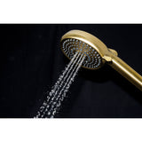 Regal 10-Function Hand Shower with Power Wash