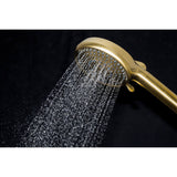 Regal 10-Function Hand Shower with Power Wash