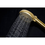 Regal 10-Function Hand Shower with Power Wash