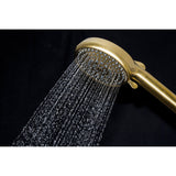 Regal 10-Function Hand Shower with Power Wash