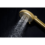 Regal 10-Function Hand Shower with Power Wash