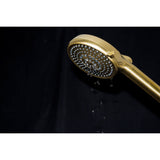 Regal 10-Function Hand Shower with Power Wash