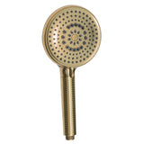 Regal 10-Function Hand Shower with Power Wash