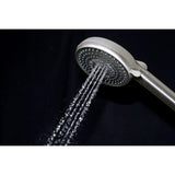 Regal 10-Function Hand Shower with Power Wash