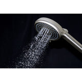 Regal 10-Function Hand Shower with Power Wash