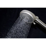 Regal 10-Function Hand Shower with Power Wash