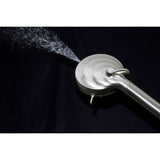 Regal 10-Function Hand Shower with Power Wash